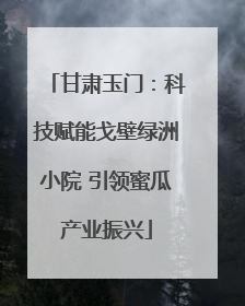 甘肃玉门：科技赋能戈壁绿洲小院 引领蜜瓜产业振兴